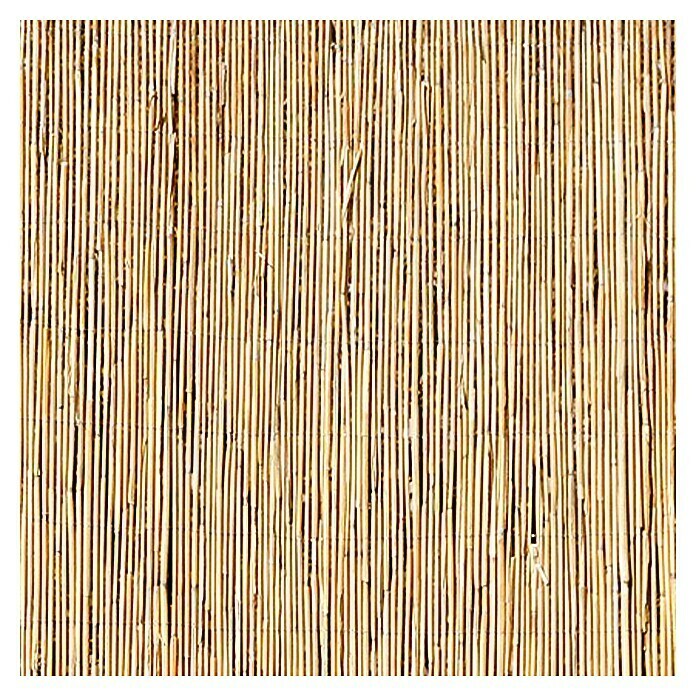 Gardol Schilfrohrmatte (600 x 160 cm, Geeignet für: Sicht- und Windschutz)