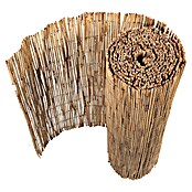 Gardol Schilfrohrmatte (600 x 200 cm, Geeignet für: Sicht- und Windschutz)
