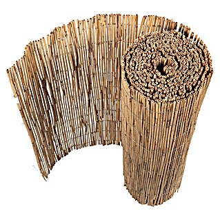 Gardol Schilfrohrmatte (600 x 100 cm, Geeignet für: Sicht- und Windschutz)