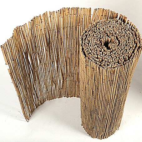 Gardol Schilfrohrmatte (600 x 100 cm, Geeignet für: Sicht- und Windschutz)