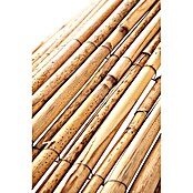 Gardol Schilfrohrmatte (600 x 200 cm, Geeignet für: Sicht- und Windschutz)