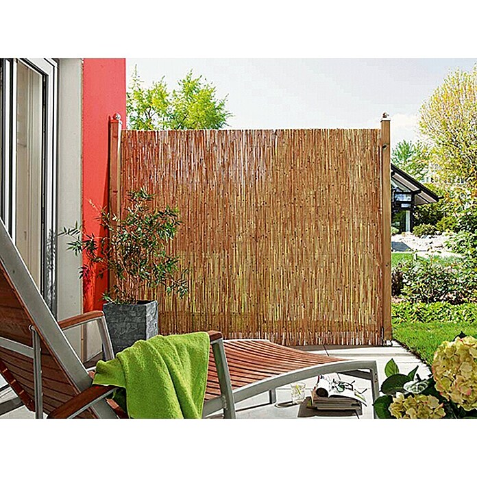 Gardol Schilfrohrmatte (600 x 200 cm, Geeignet für: Sicht- und Windschutz)