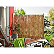 Gardol Schilfrohrmatte (600 x 200 cm, Geeignet für: Sicht- und Windschutz)