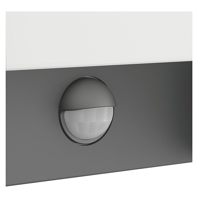 Philips Arbour LED senzorska zunanja stenska svetilka  (3,8 W, 16,5 x 7,5 x 22 cm, Antracit, IP44) | 3078 - Wandleuchte Outdoor | CAJA - Outdoorleuchten Hochvolt | CAJ - Outdoorleuchten | CA - Beleuchtung | C - Elektro | BAUHAUS