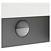 Philips Arbour LED senzorska zunanja stenska svetilka  (3,8 W, 16,5 x 7,5 x 22 cm, Antracit, IP44) | 3078 - Wandleuchte Outdoor | CAJA - Outdoorleuchten Hochvolt | CAJ - Outdoorleuchten | CA - Beleuchtung | C - Elektro | BAUHAUS