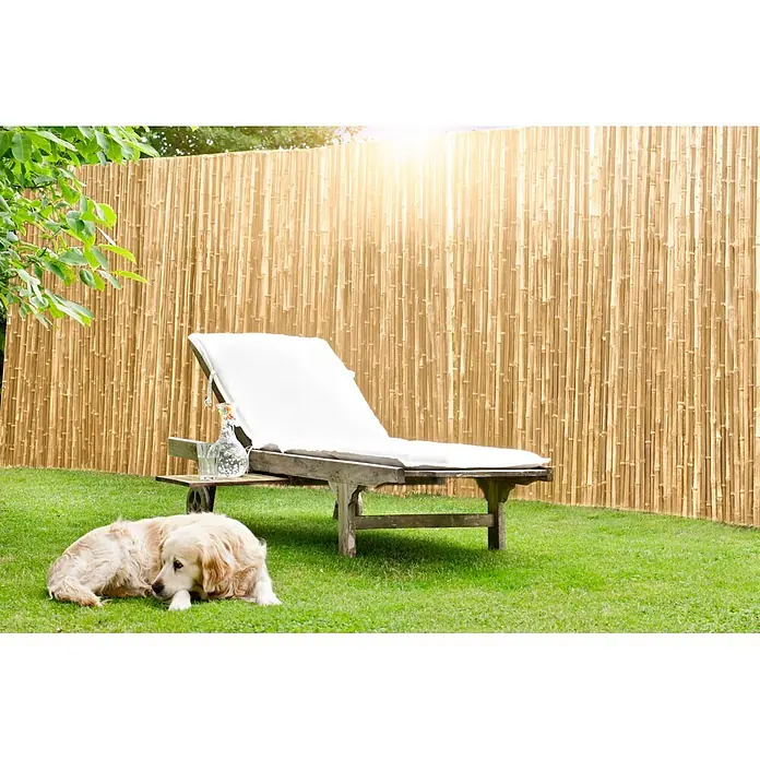 Windhager Sichtschutzmatte Takeno - 120 x 150 cm, Bambus - Natürlicher Bambus-Sichtschutz, der eine warme, natürliche Begrenzung im Garten schafft.