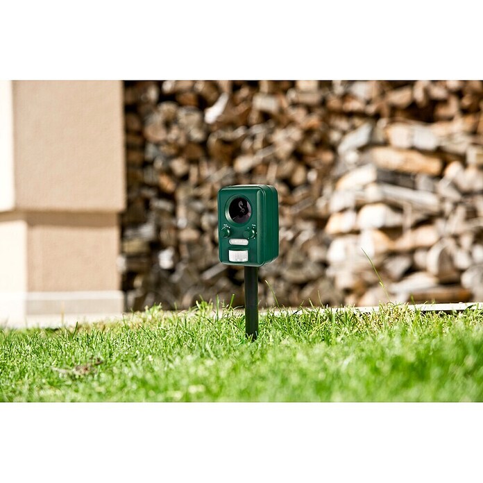 Windhager Tiervertreiber Guard Solar (Wirkungsbereich: 60 m²) | BAUHAUS