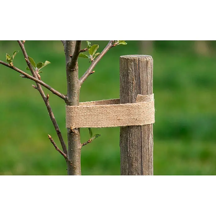 Windhager Baumbinder Jute - L x H: 10 m x 5 cm - Natürliches Juteband sichert jungen Baum an einem Holzpfahl.