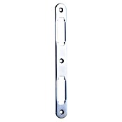 Varnostna ploščica  (21 x 3 x 189 mm) | 1342 - Einsteckschlösser | AAHD - Schlösser/Beschläge | AAH - Sicherheit | AA - Eisenwaren | A - Eisenwaren | BAUHAUS
