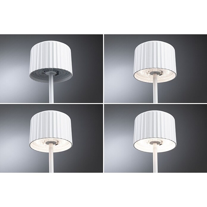 Paulmann Solar-Tischleuchte Else (Weiß, IP44, Ø x H: 102 x 305 mm) | BAUHAUS