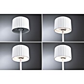 Paulmann Solar-Tischleuchte Else (Weiß, IP44, Ø x H: 102 x 305 mm) | BAUHAUS