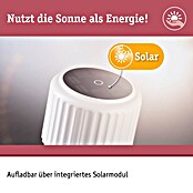 Paulmann Solar-Tischleuchte Else (Weiß, IP44, Ø x H: 102 x 305 mm) | BAUHAUS