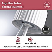 Paulmann Solar-Tischleuchte Else (Weiß, IP44, Ø x H: 102 x 305 mm) | BAUHAUS