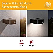 Paulmann Solarleuchte Eileen (Lichtfarbe: Warmweiß, LED, Höhe: 65 mm) | BAUHAUS