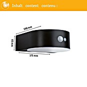 Paulmann Solarleuchte Eileen (Lichtfarbe: Warmweiß, LED, Höhe: 65 mm) | BAUHAUS