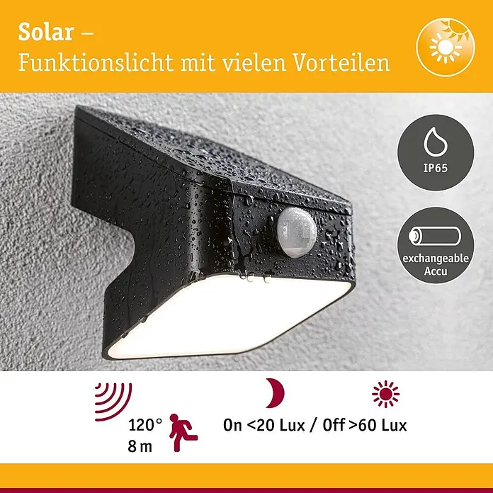 Paulmann Solarleuchte Lesly - Lichtfarbe: Warmweiß, LED, Höhe: 138 mm - Schwarze, wasserdichte Solar-Außenleuchte mit Bewegungsmelder, mit Wassertropfen bedeckt.