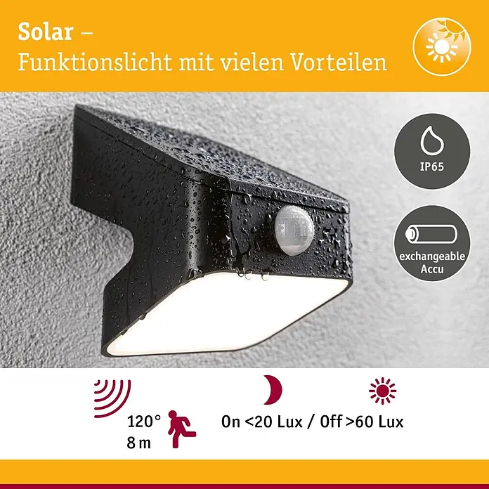 Paulmann Solarleuchte Lesly - Lichtfarbe: Warmweiß, LED, Höhe: 138 mm - Robustes schwarzes Solar-LED-Wandlicht mit Bewegungssensor, beleuchtet und wasserdicht dargestellt.