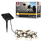 Paulmann LED-Solar-Lichterkette Soala (Außen, Länge: 3,9 m, Warmweiß) | BAUHAUS