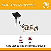 Paulmann LED-Solar-Lichterkette Soala (Außen, Länge: 3,9 m, Warmweiß) | BAUHAUS
