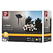 Paulmann LED-Solar-Lichterkette Soala (Außen, Länge: 3,9 m, Warmweiß) | BAUHAUS