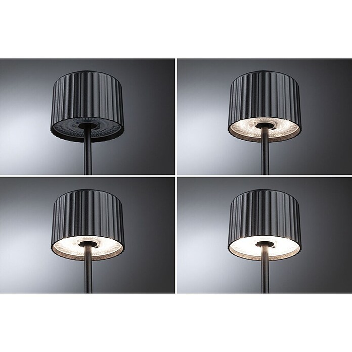 Paulmann Solar-Tischleuchte Else (Schwarz, IP44, Ø x H: 102 x 305 mm) | BAUHAUS