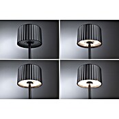 Paulmann Solar-Tischleuchte Else (Schwarz, IP44, Ø x H: 102 x 305 mm) | BAUHAUS