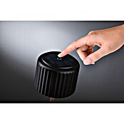 Paulmann Solar-Tischleuchte Else (Schwarz, IP44, Ø x H: 102 x 305 mm) | BAUHAUS