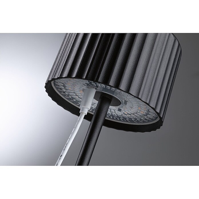Paulmann Solar-Tischleuchte Else (Schwarz, IP44, Ø x H: 102 x 305 mm) | BAUHAUS