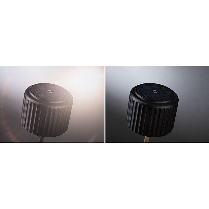 Paulmann Solar-Tischleuchte Else (Schwarz, IP44, Ø x H: 102 x 305 mm) | BAUHAUS
