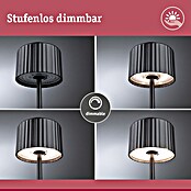 Paulmann Solar-Tischleuchte Else (Schwarz, IP44, Ø x H: 102 x 305 mm) | BAUHAUS
