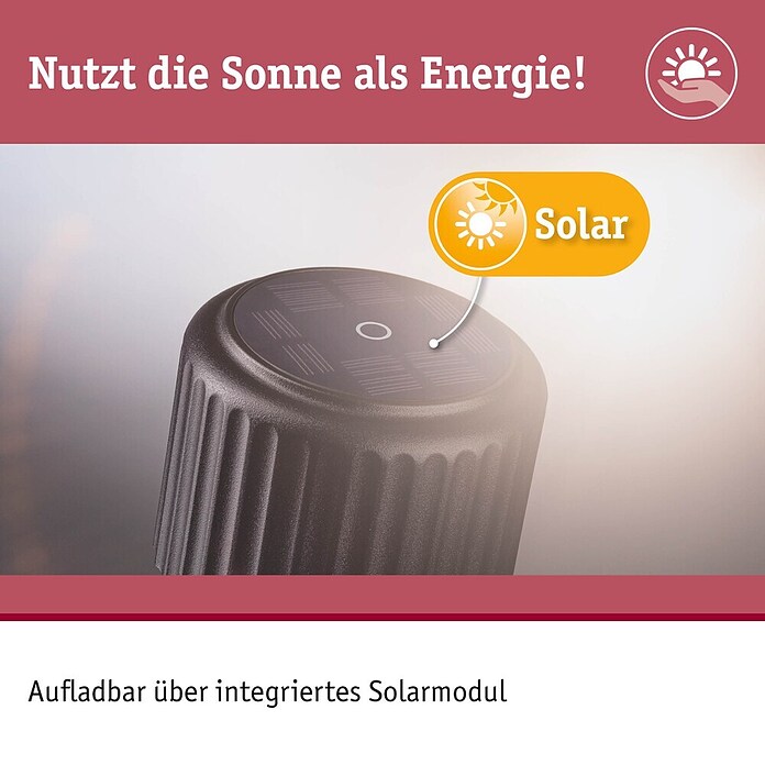 Paulmann Solar-Tischleuchte Else (Schwarz, IP44, Ø x H: 102 x 305 mm) | BAUHAUS