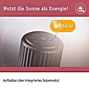 Paulmann Solar-Tischleuchte Else (Schwarz, IP44, Ø x H: 102 x 305 mm) | BAUHAUS