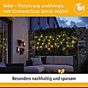 Paulmann LED-Solar-Lichterkette Soala (Außen, Länge: 3,9 m, Warmweiß) | BAUHAUS