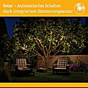 Paulmann LED-Solar-Lichterkette Soala (Außen, Länge: 3,9 m, Warmweiß) | BAUHAUS