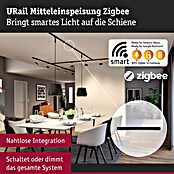 Paulmann Mittel-Einspeisung Urail (L x B x H: 304 x 21 x 18 mm, Schwarz Matt) | BAUHAUS