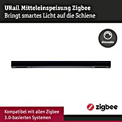 Paulmann Mittel-Einspeisung Urail (L x B x H: 304 x 21 x 18 mm, Schwarz Matt) | BAUHAUS