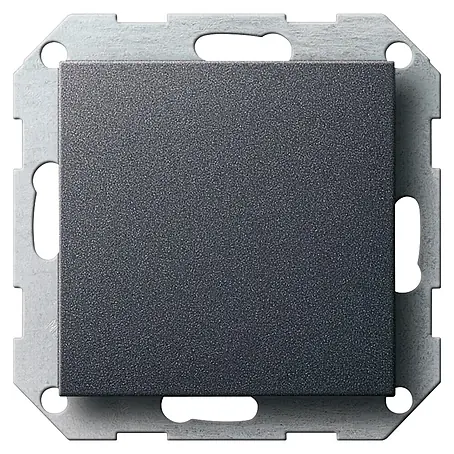 Gira System 55 Blindabdeckung 26828