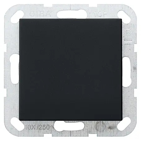 Gira System 55 Blindabdeckung 268005