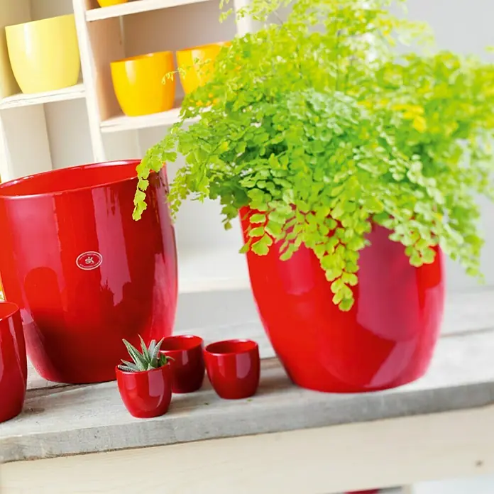 SK Übertopf rund Basel Full Colore - Außenmaß (Ø x H): 14 x 13 cm, Bordeaux, Keramik, Glänzend - Glänzende rote Blumentöpfe in verschiedenen Größen, darunter einer mit üppigem Grün, auf einer hellen Holzoberfläche präsentiert.