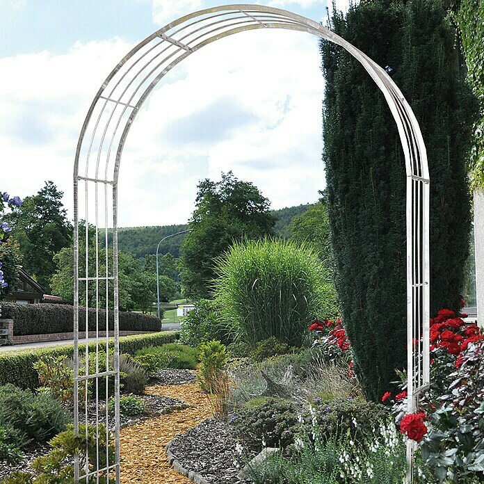 Gardol Arco para rosales (Plateado, 40 x 140 x 244 cm)
