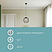 Eglo Hanglamp Almanzora (Zwart, E27) | BAUHAUS