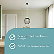 Eglo Hanglamp Almanzora (Zwart, E27) | BAUHAUS