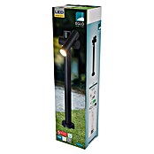 Eglo Sokkellamp voor buiten Fossignano H700 (Kleur behuizing: Zwart, l x b x h: 129 x 159 x 700 mm, Met lichtbron) | BAUHAUS