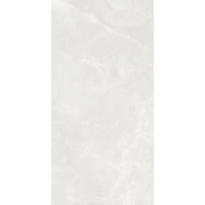 Feinsteinzeugfliese PULPIS MAJESTIC BONE – 60 x 120 cm, Marmoroptik, Mat -  - Hellgraue Marmor-Optik-Oberfläche mit subtilen weißen Äderungen.
