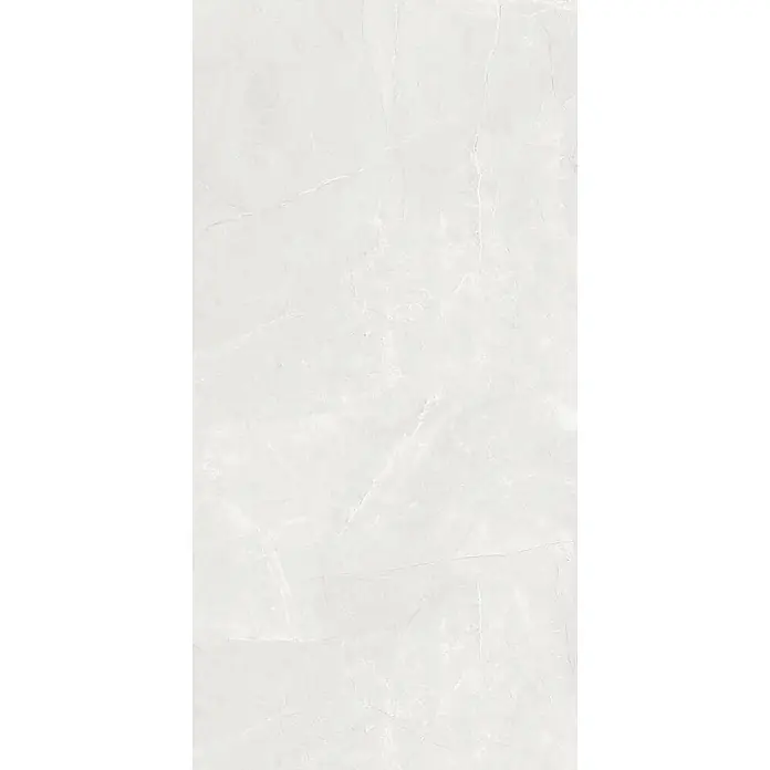 Feinsteinzeugfliese PULPIS MAJESTIC BONE – 60 x 120 cm, Marmoroptik, Mat -  - Hellgraue Marmoroptik-Textur mit feinen weißen Äderungen.