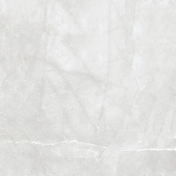 Feinsteinzeugfliese AMANI GRIS – 120 x 120 cm, Steinoptik, Brillant -  - Helle graue Marmor-Effekt-Oberfläche mit subtiler weißer Äderung.