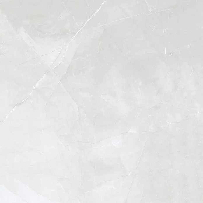 Feinsteinzeugfliese AMANI GRIS – 120 x 120 cm, Steinoptik, Brillant -  - Helle graue Marmor-Textur mit subtiler weißer Maserung.