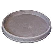 Geli Podložak za teglu za cvijeće  (Vanjska dimenzija (ø x V): 30 x 4 cm, Plastika, Taupe) | BAUHAUS