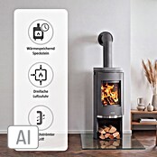 Justus Kaminofen Faro 2.0 (6 kW, Raumheizvermögen: 124 m³, Material Abdeckung: Speckstein, Gussgrau)