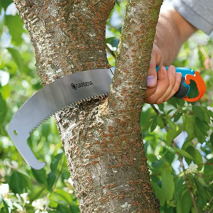 Gardena Combisystem Hand-Astsäge 300PP - Länge: 556 mm, Kunststoff, Silber, Türkis - Astsäge im Einsatz: Eine Gardena Astsäge schneidet einen Baumast, ideal für Gartenarbeiten und Baumpflege.